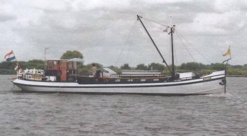 Sander