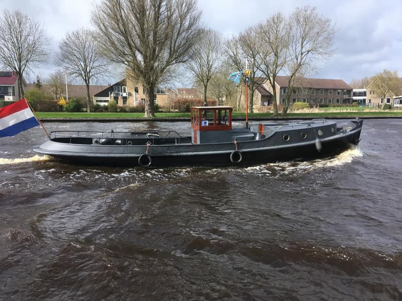 Zwarte Raaf