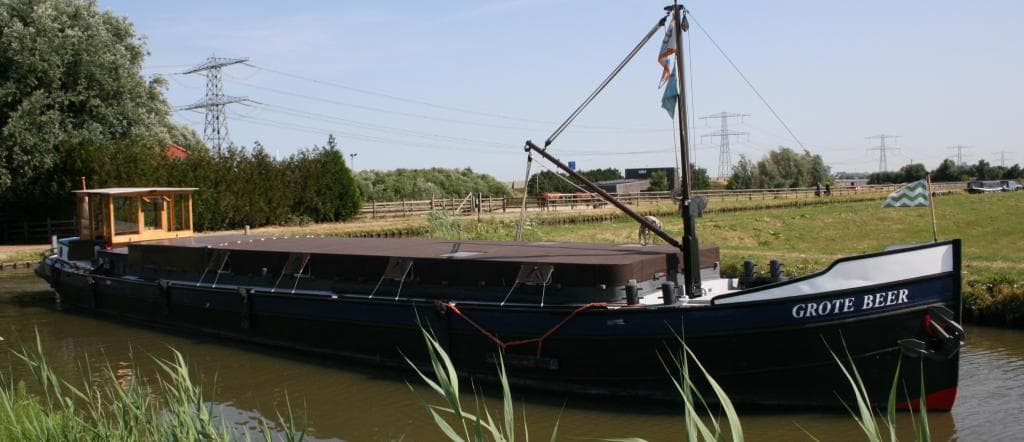 Grote Beer