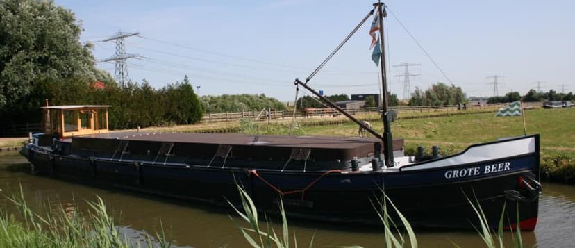 Grote Beer