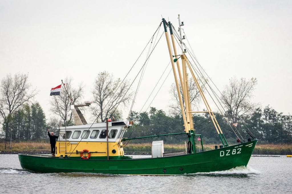 DZ82 Nova Cura