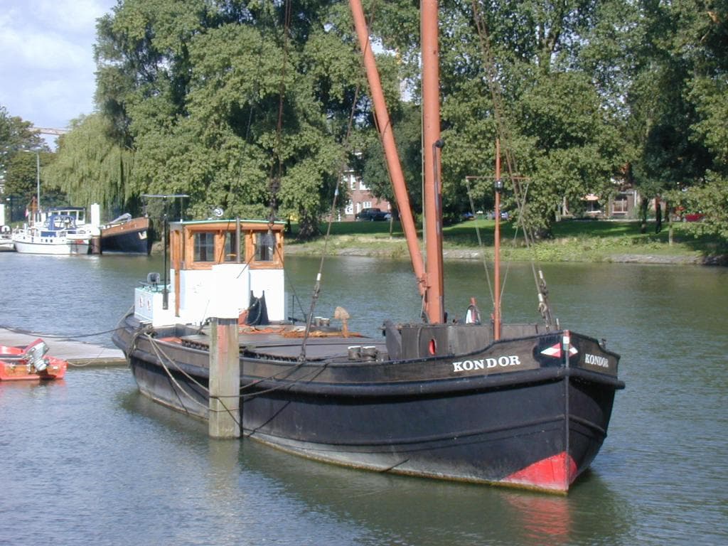 Suzanne