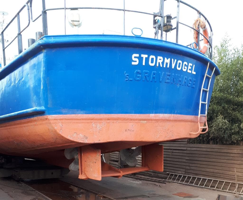 Stormvogel