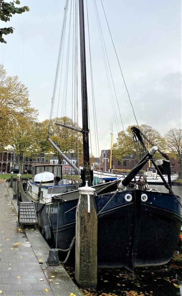 Tagrijn