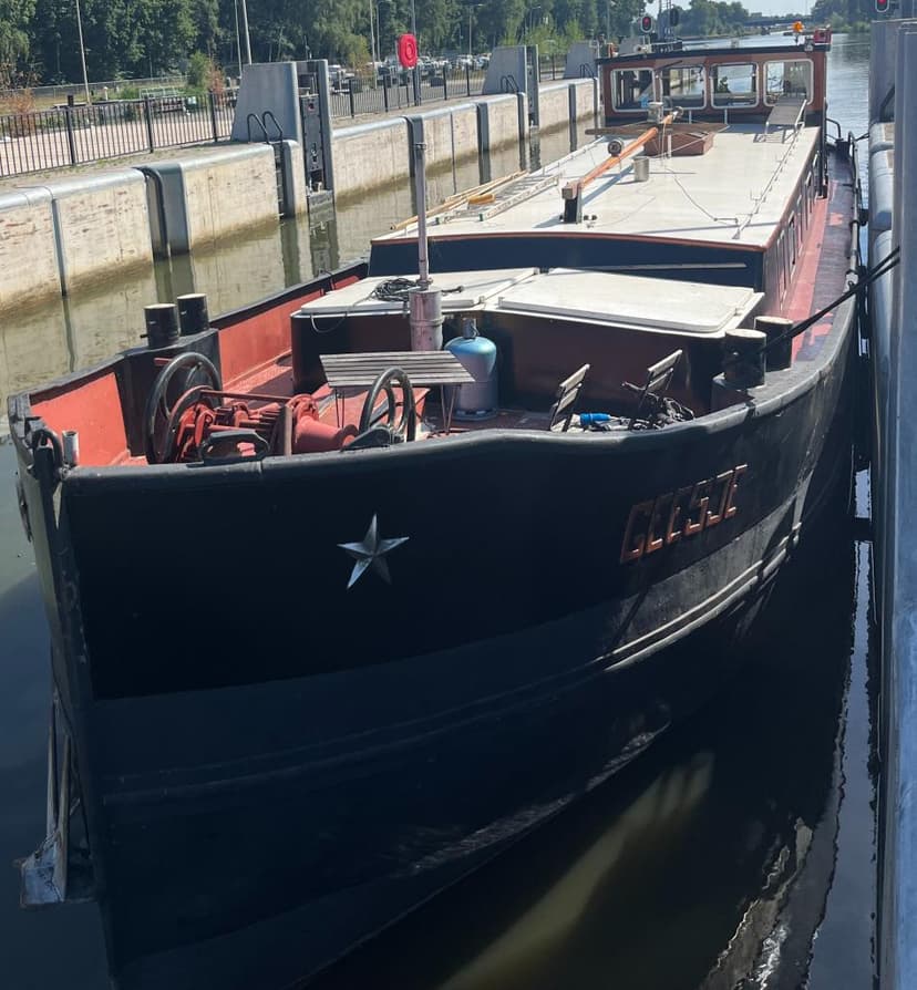 Geesje
