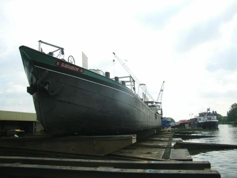 Salvator
