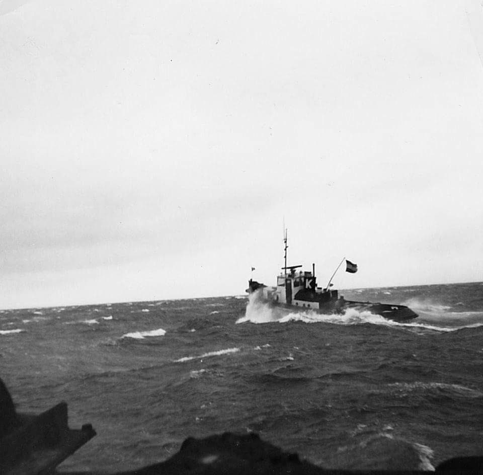 Zeehond