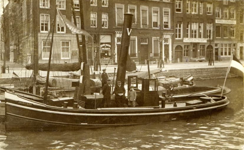 Goudvisch