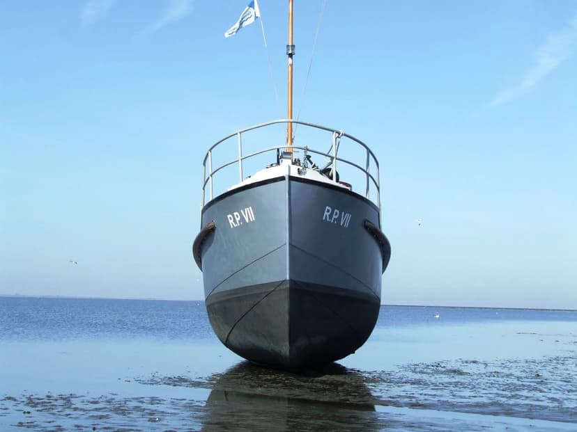 RP VII