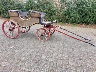 Kinderrijtuig, Siamese bokkenphaeton