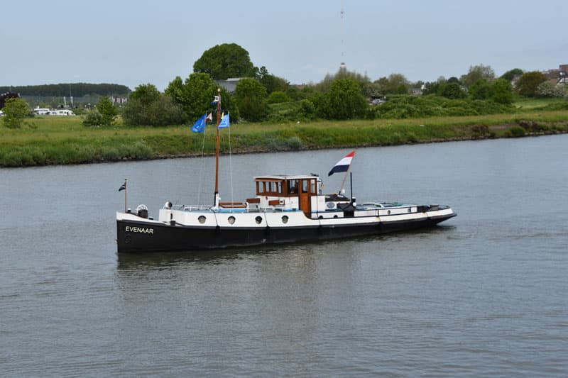 Evenaar