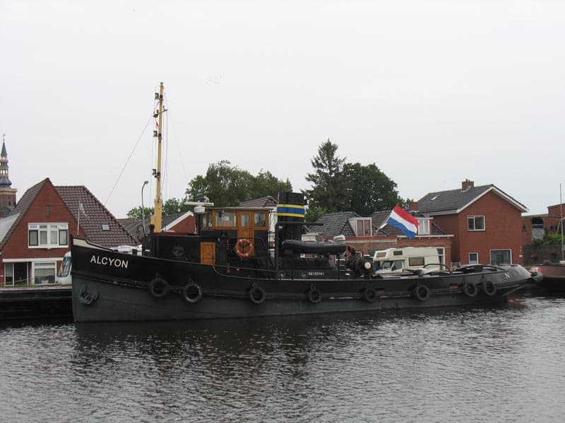Alcyon