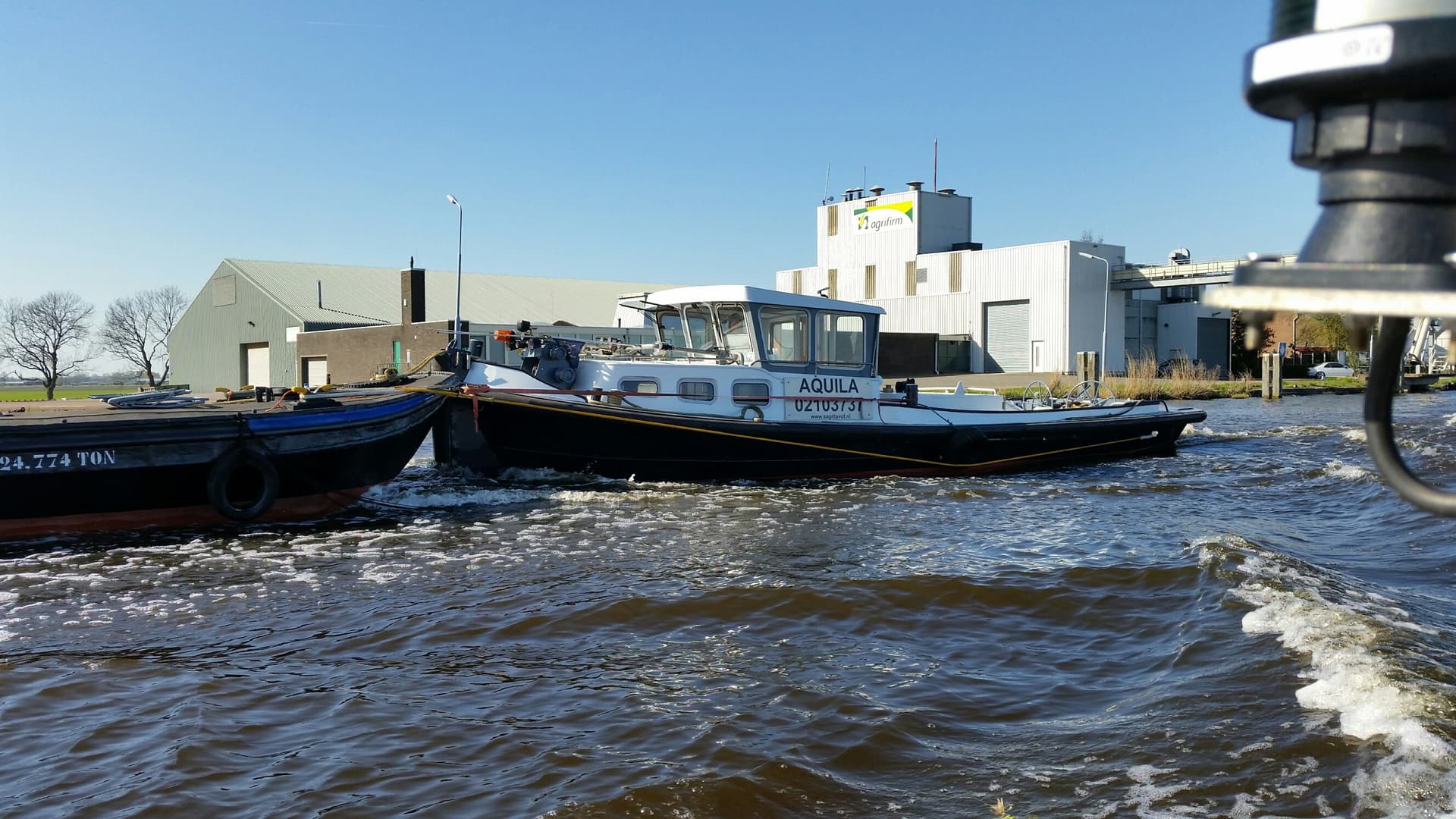 Aquila
