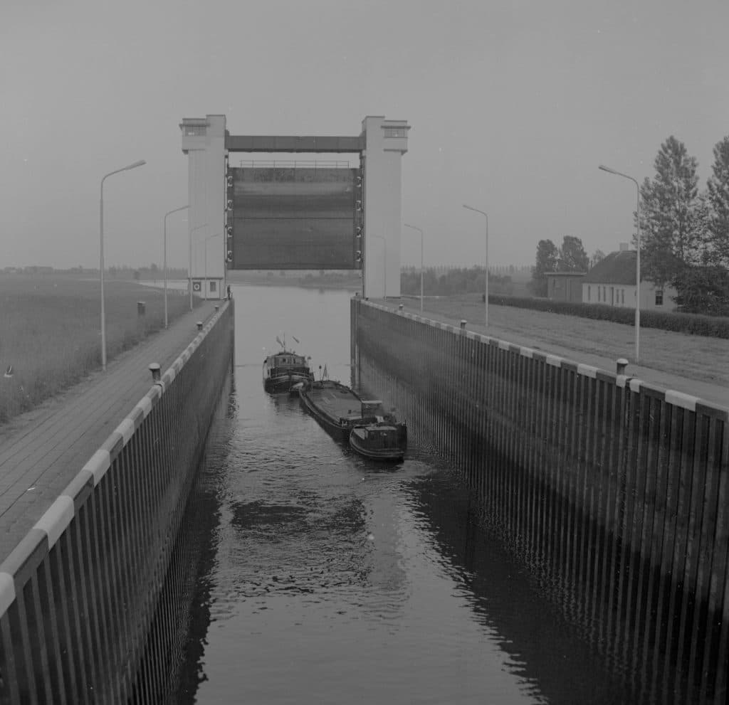 Dankbaarheid met Zeldzaamheid