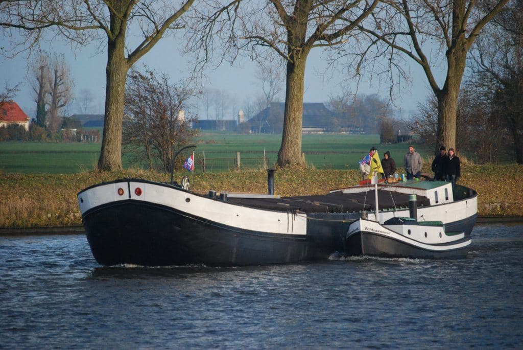 Dankbaarheid met Zeldzaamheid