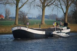 Dankbaarheid met Zeldzaamheid