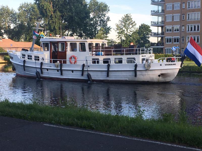 Zwaluw