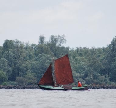 HD16