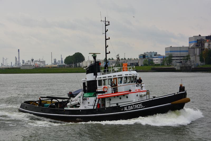 Albatros