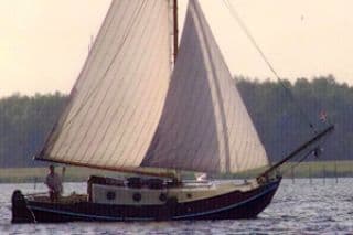 Eenhoorn