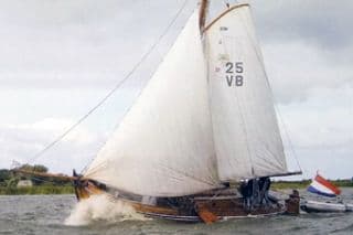 Bruinvisch
