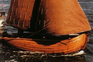 HL33 'Elisabeth-Berendina'